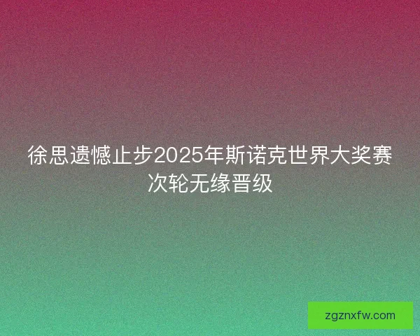 徐思遗憾止步2025年斯诺克世界大奖赛次轮无缘晋级